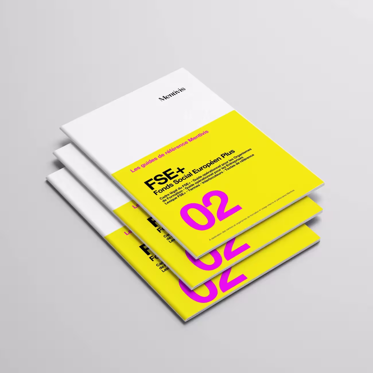 The FSE+ Guide